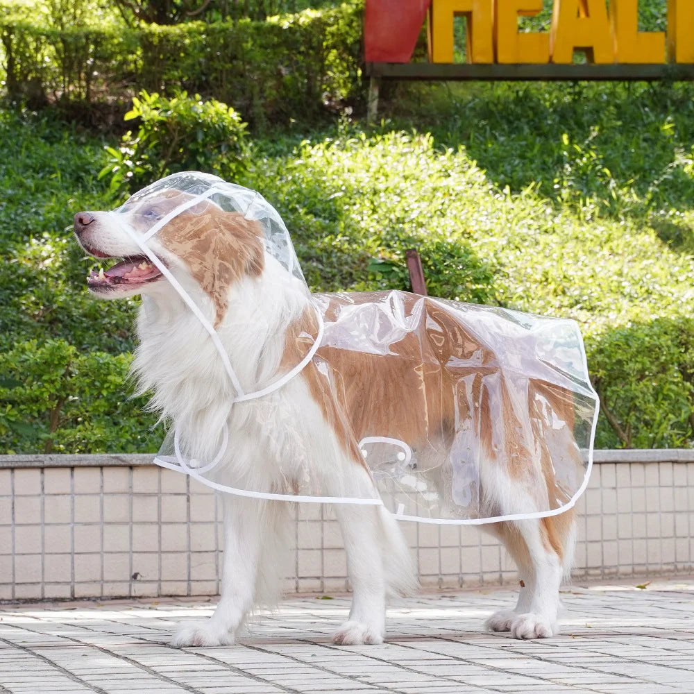 🌧️ Clear Dog Raincoat