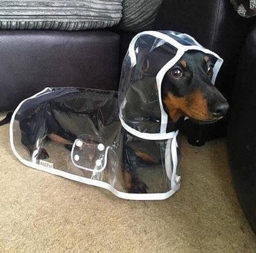 🌧️ Clear Dog Raincoat