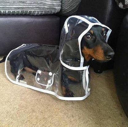 🌧️ Clear Dog Raincoat