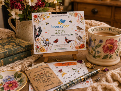 ✨🏆Early Holiday Sale 49% OFF🌱Eco-Friendly Plantable “Timeless” Seed Calendar 2027