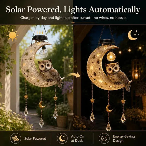🌙Solar Owl Moon Garden Light🦉