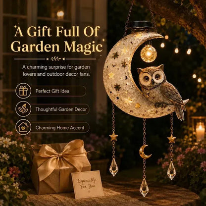 🌙Solar Owl Moon Garden Light🦉