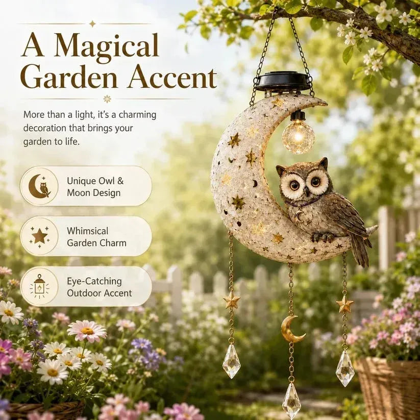 🌙Solar Owl Moon Garden Light🦉