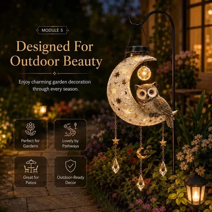 🌙Solar Owl Moon Garden Light🦉
