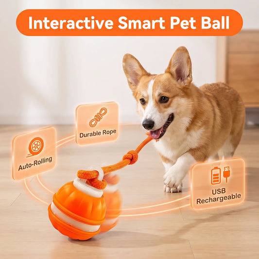 🐕⚡Interactive Smart Rolling Pet Ball