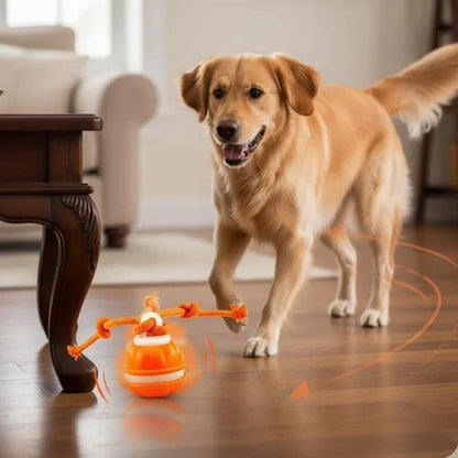 🐕⚡Interactive Smart Rolling Pet Ball