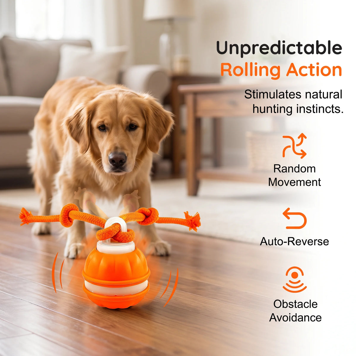 🐕⚡Interactive Smart Rolling Pet Ball