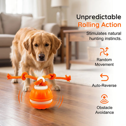 🐕⚡Interactive Smart Rolling Pet Ball