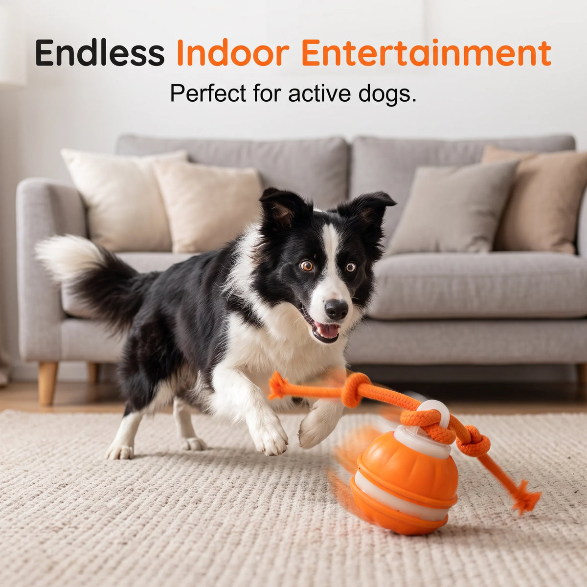 🐕⚡Interactive Smart Rolling Pet Ball