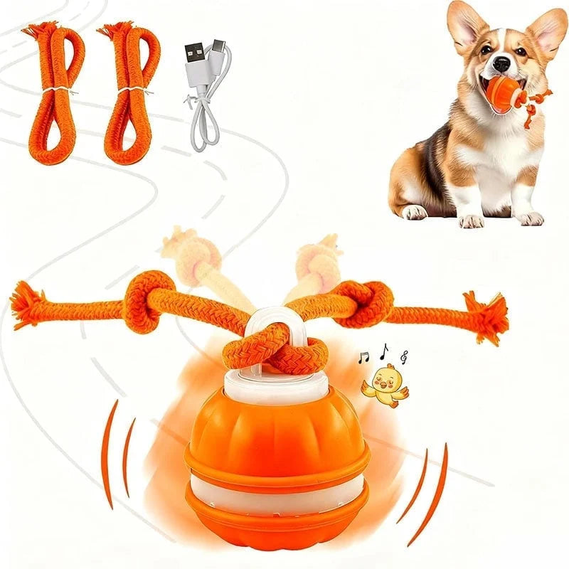🐕⚡Interactive Smart Rolling Pet Ball