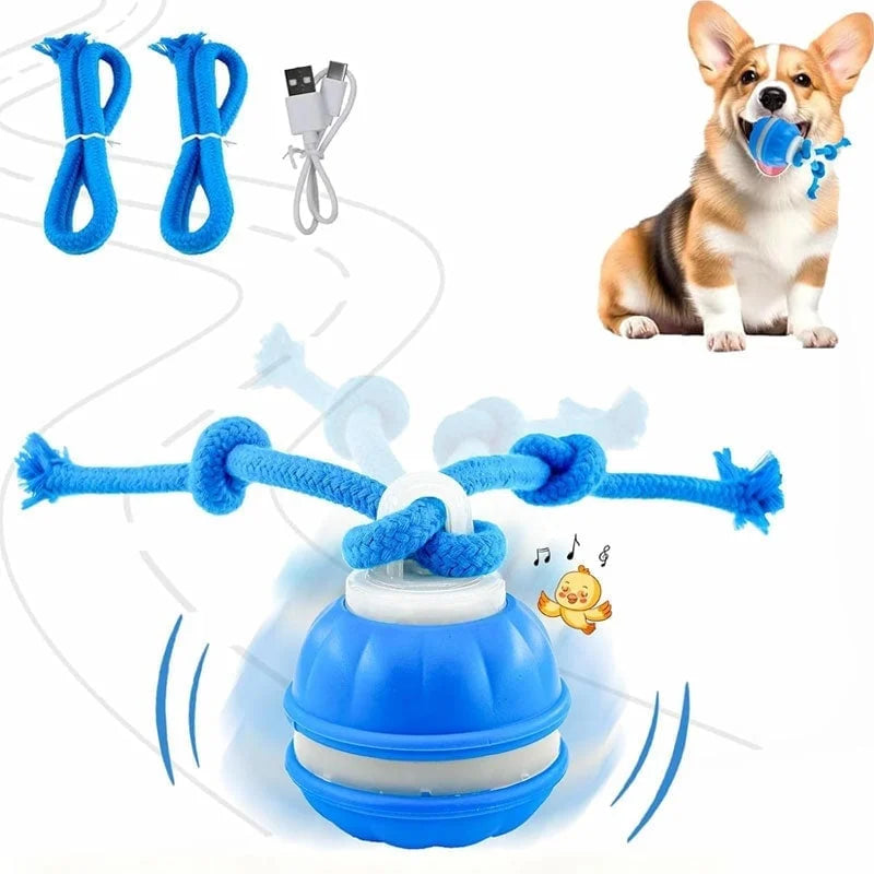 🐕⚡Interactive Smart Rolling Pet Ball