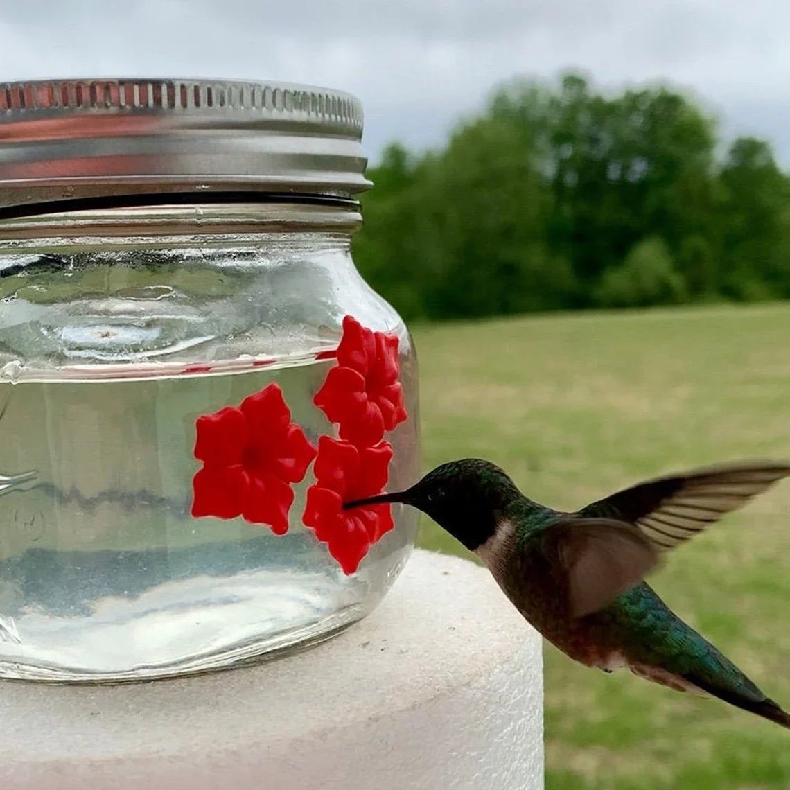 🔥 BIG SALE - 50% OFF🔥🔥- Beautiful Mason Jar Hummingbird Feeder W/ Three Ports