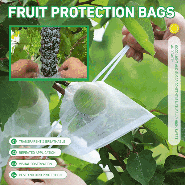 🔥Fruit Protection Bags   🔥🔥 Buy 50, Get 50 Free