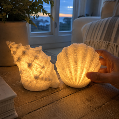 🔥Last Day 50% OFF🔥Coastal Afterglow Shell & Conch Light Set🐚