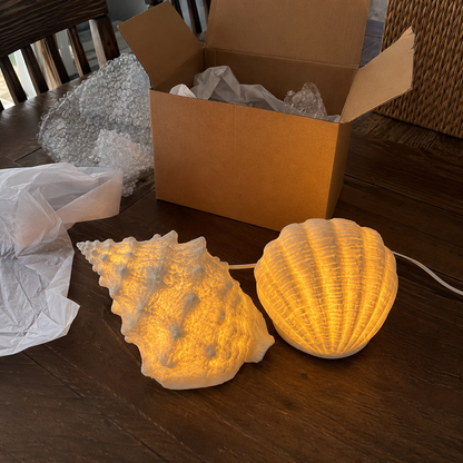 🔥Last Day 50% OFF🔥Coastal Afterglow Shell & Conch Light Set🐚