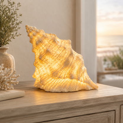 🔥Last Day 50% OFF🔥Coastal Afterglow Shell & Conch Light Set🐚