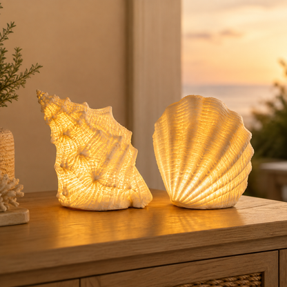 🔥Last Day 50% OFF🔥Coastal Afterglow Shell & Conch Light Set🐚