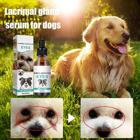 🐱🐶 First 50 customers get one free 🌿 Pet eye cleanser and eye drops – gentle pH-balanced formula, safe for dogs and cats. Soothes redness, removes tear stains and everyday dirt. 💧