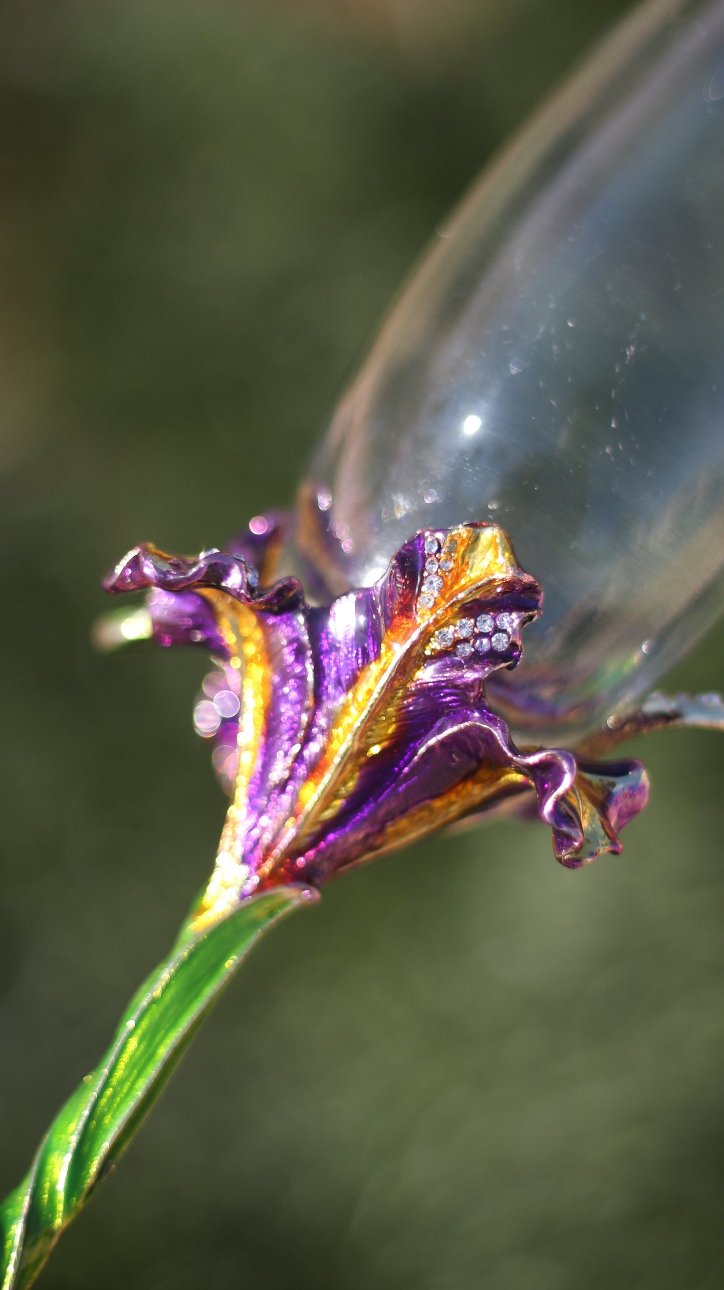 Mother Gothel Champagne Glass (Set of 2)