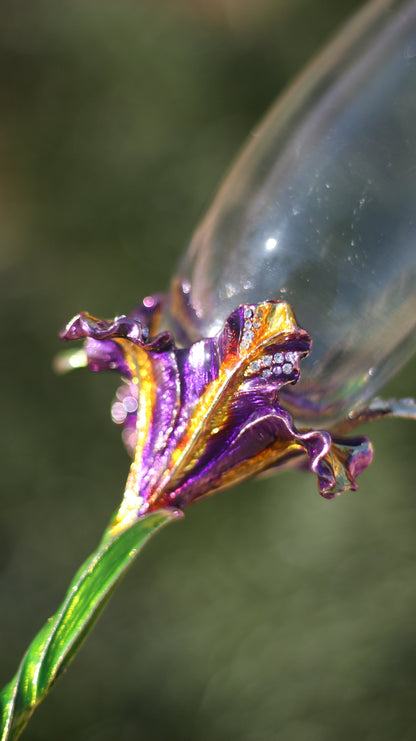 Mother Gothel Champagne Glass (Set of 2)