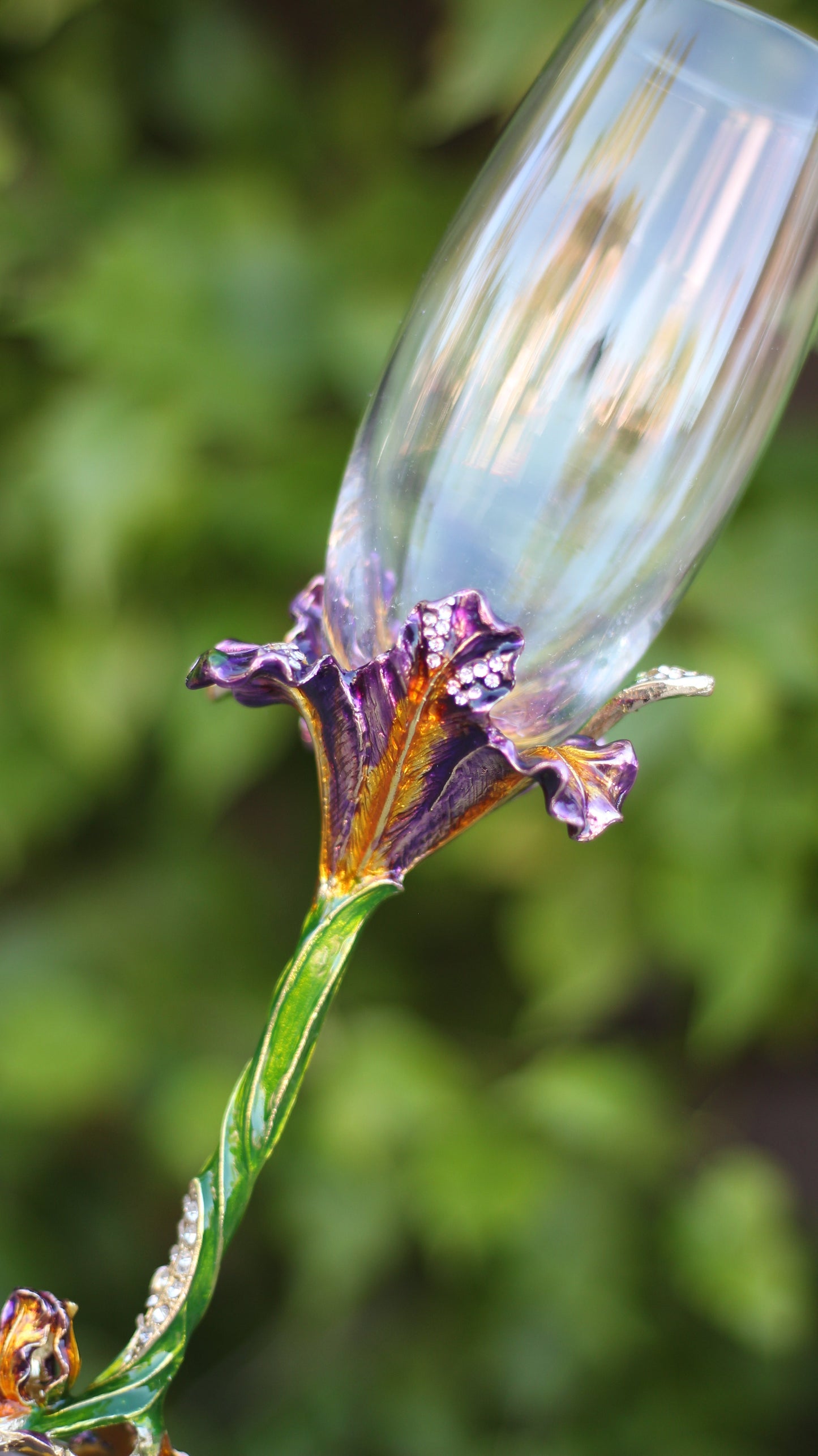 Mother Gothel Champagne Glass (Set of 2)