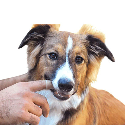 🔥Limited Time🔥Teeth Cleaning Spray for Pets