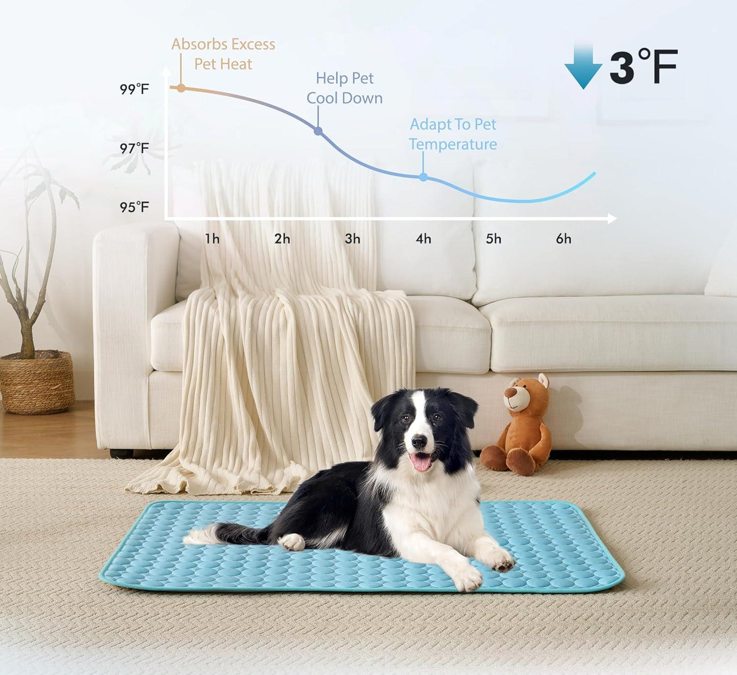 🐾Dog Mat  🔥🔥BUY 2 GET 10% OFF