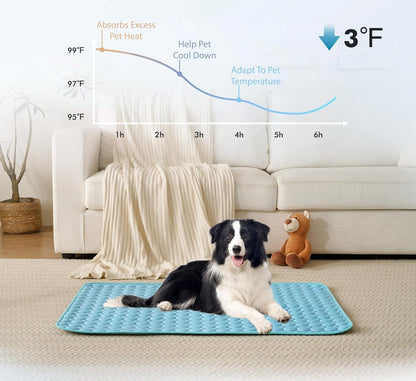🐾Dog Mat  🔥🔥BUY 2 GET 10% OFF