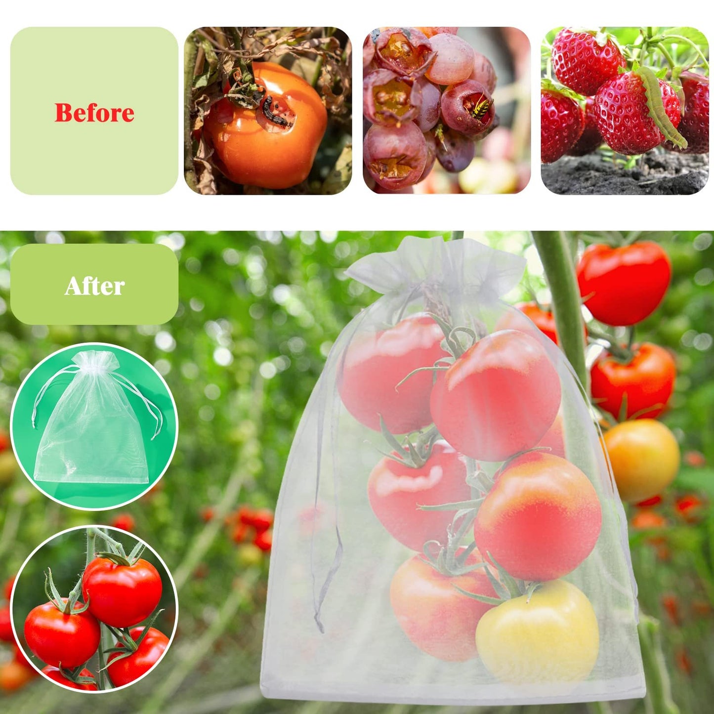 🔥Fruit Protection Bags   🔥🔥 Buy 50, Get 50 Free