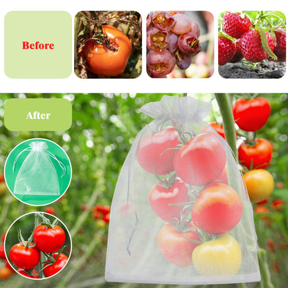 🔥Fruit Protection Bags   🔥🔥 Buy 50, Get 50 Free