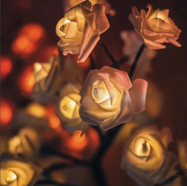 📢📢70% OFF!!⏰🌹Rose Flower Design Tree Night Light🌟
