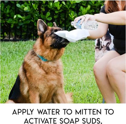 🔥Rinse-Free Dog Shampoo Mitts – Hypoallergenic Pet Bath Wipes
