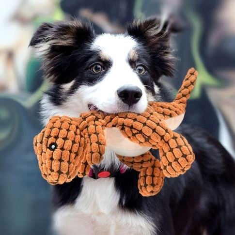 🔥 Robust Dino Squeaky Dog Chew Toy: The Anxiety Buster for Your Pup!