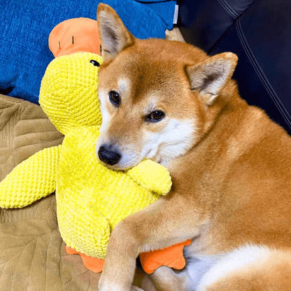🪿🪿Calming Duck Toy   🔥🔥 Buy 2, Get 10% Off