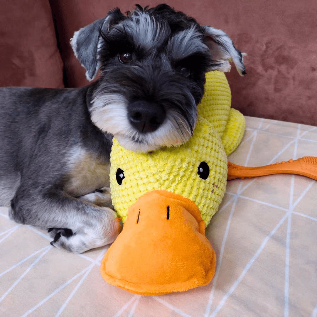 🪿🪿Calming Duck Toy   🔥🔥 Buy 2, Get 10% Off