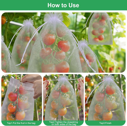 🔥Fruit Protection Bags   🔥🔥 Buy 50, Get 50 Free