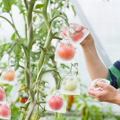 🔥Fruit Protection Bags   🔥🔥 Buy 50, Get 50 Free