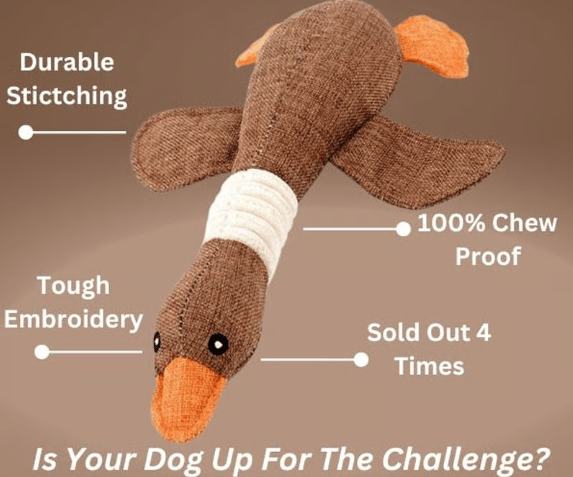🔥ROBUSTDUCK-DESIGNED FOR SMALL CHEWERS