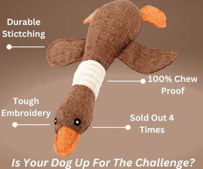 🔥ROBUSTDUCK-DESIGNED FOR SMALL CHEWERS