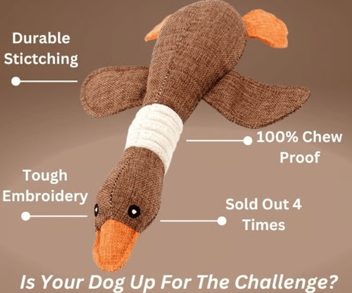 🔥ROBUSTDUCK-DESIGNED FOR SMALL CHEWERS