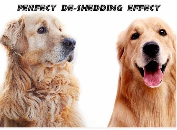 Big Sale 50% Off🎁Pet Safe Dematting Comb🎉Buy two for better prices🎉