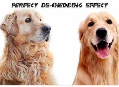 Big Sale 50% Off🎁Pet Safe Dematting Comb🎉Buy two for better prices🎉