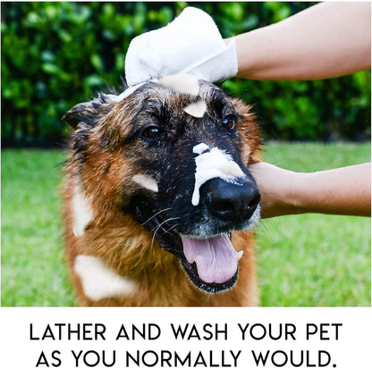🔥Rinse-Free Dog Shampoo Mitts – Hypoallergenic Pet Bath Wipes