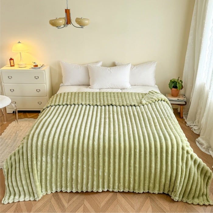 🎀Popular thickened plush nap blanket