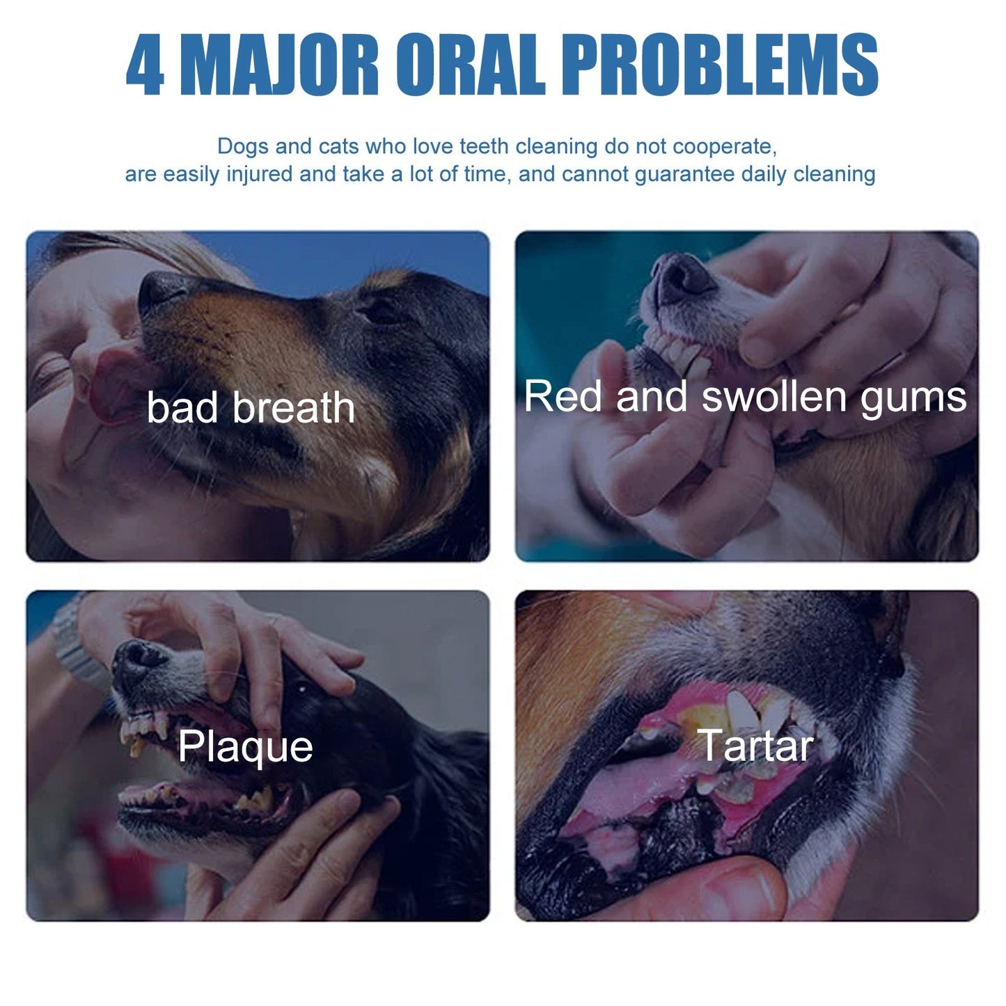 🐶Foam for removing tartar from pet teeth – Fresh breath & healthy teeth, no brushing required!🦷