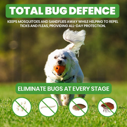 🐶🐱 12 Month Flea & Tick Collar | Long Lasting Protection