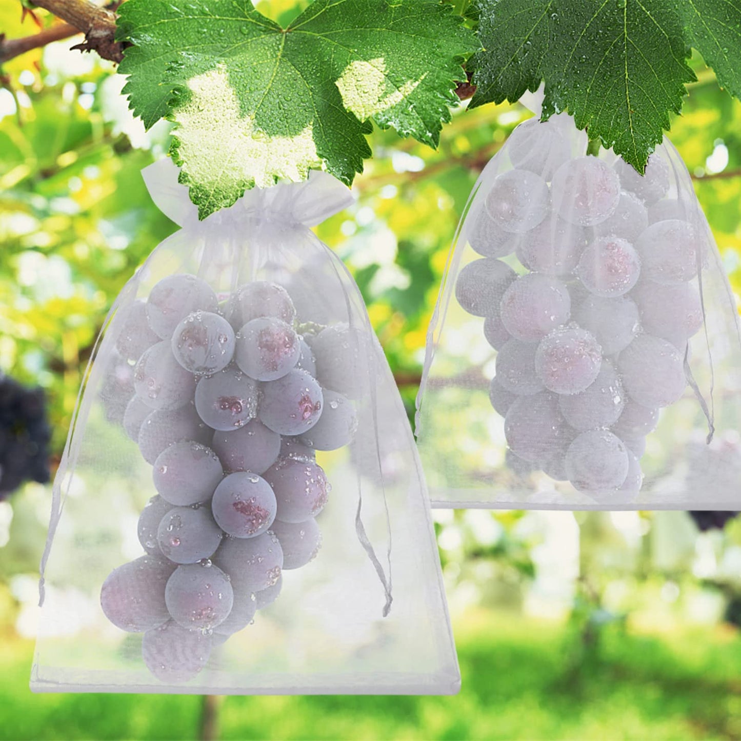🔥Fruit Protection Bags   🔥🔥 Buy 50, Get 50 Free