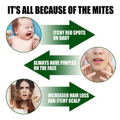 Power Mite Remover – Instantly Eliminate Dust Mites from Your Home 🦠🚫
