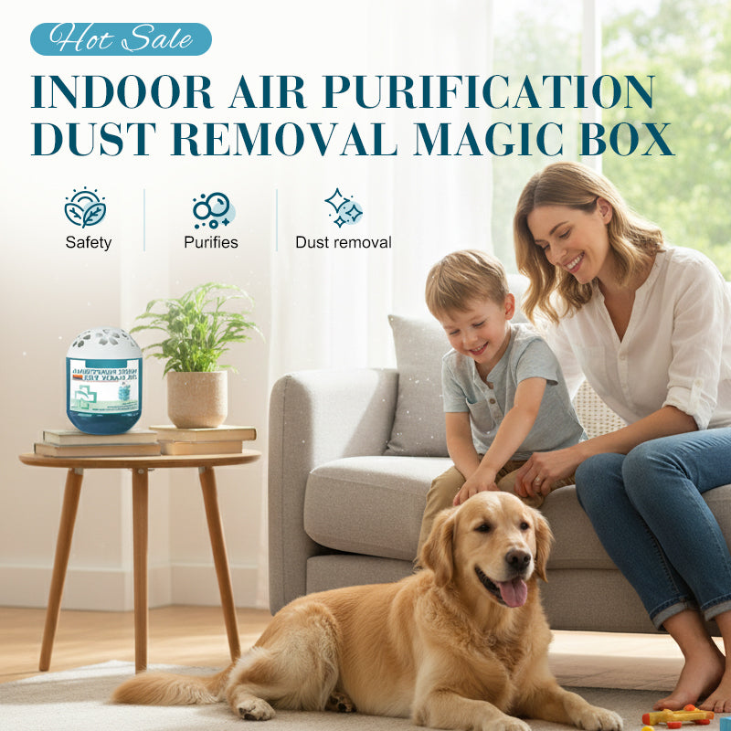 🔥Buy 1 Get 1 Free⏰Indoor Air Purification Dust Removal Magic Box🏠Bringing health to the family.👵👶