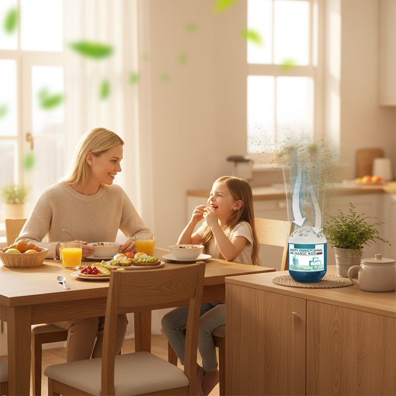 🔥Buy 1 Get 1 Free⏰Indoor Air Purification Dust Removal Magic Box🏠Bringing health to the family.👵👶
